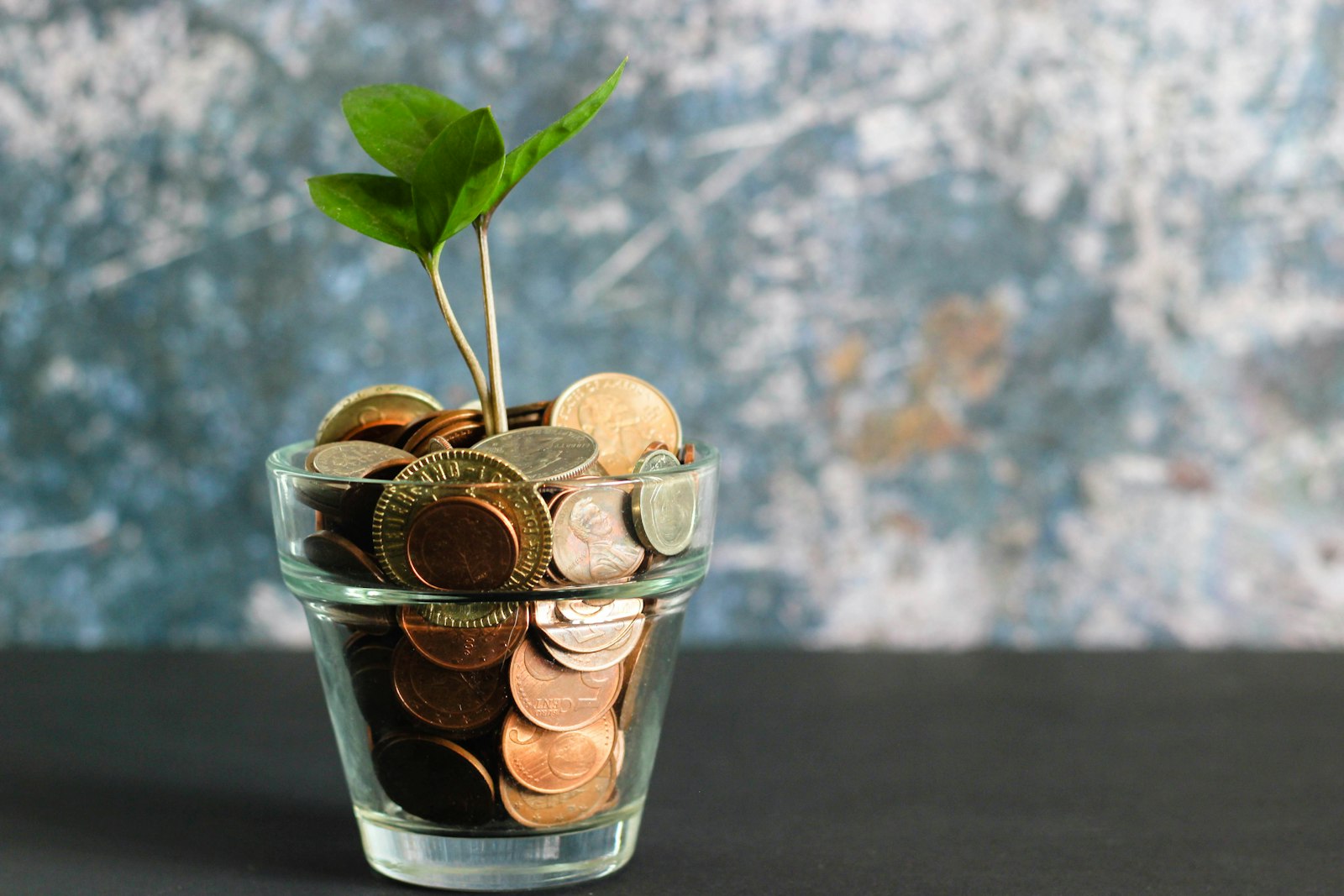 Scholarship assistance